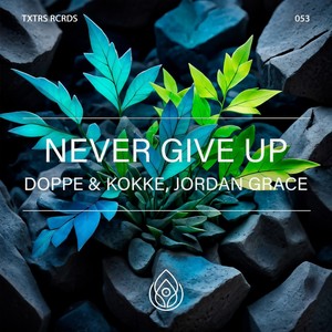Never Give Up (Extended Mix)