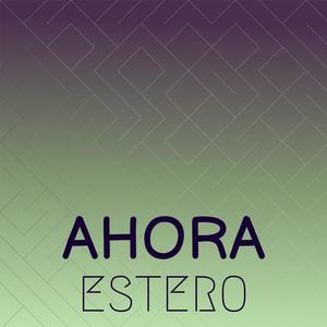 Ahora Estero