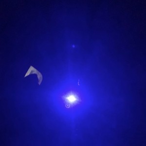 FREE ARP (feat. MarcianoArp) (Explicit)