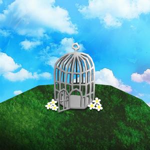 The Cage