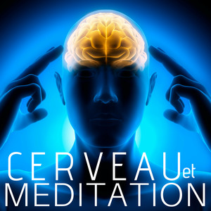 Cerveau et Meditation - Objet de Meditation, Meditation Anti Burn Out