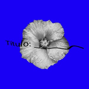 Título (Explicit)