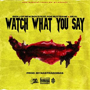 Watch What You Say (feat. PDE Nuttsane & Ak4l) [Explicit]