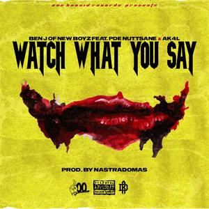 Watch What You Say(feat. PDE Nuttsane & Ak4l) (Explicit)