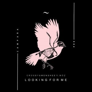 Looking for Me (Original Mix)