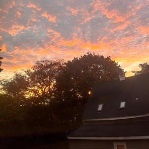 $20 bus pass (Explicit)