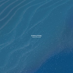 Endless Fields