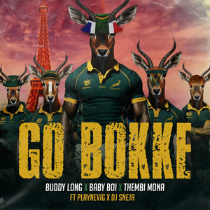 Go Bokke