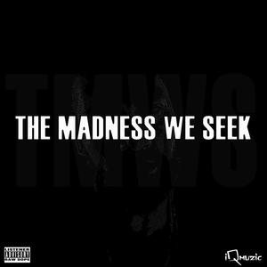 The Madness We Seek (Explicit)