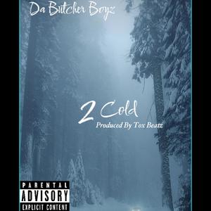 2 Cold (feat. Tox Beatz) [Explicit]