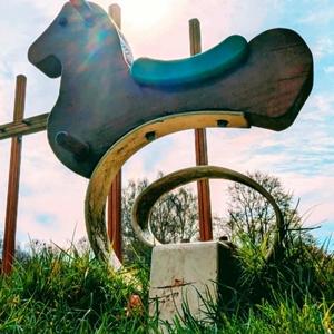 Dog Walks In The Dark