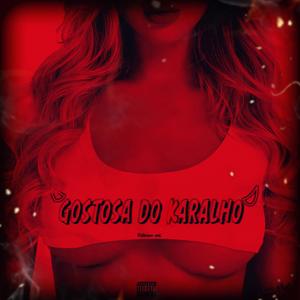 Gostosa do karalho (feat. Fabiim mc) (Explicit)