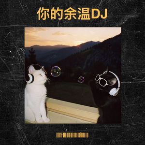 你的余温DJ