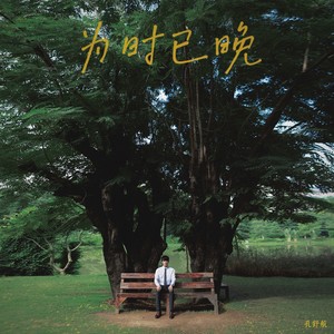 为时已晚-孔舒航