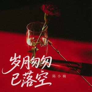 岁月匆匆已落空