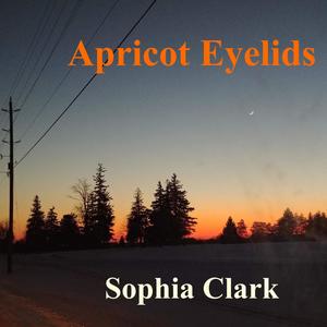 Apricot Eyelids