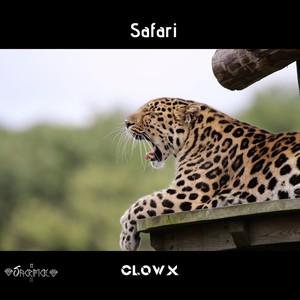 Safari