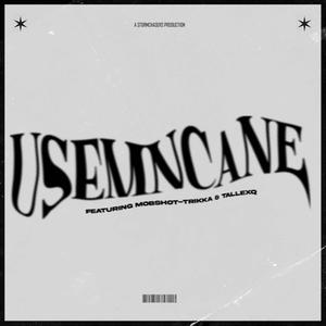 Usemcane (feat. TallexQ & Mob-Shot Trikka)