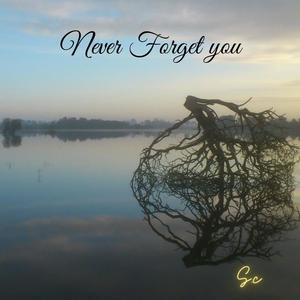 Never Forget you