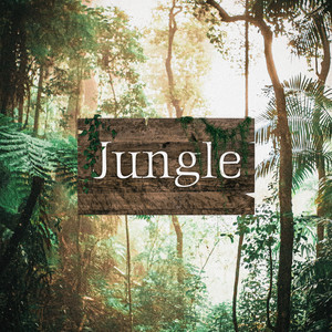 Jungle