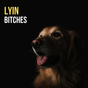 Lyin *****es (feat. Damien Sane)