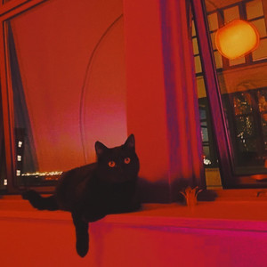 Yusei - Midnight Seduction