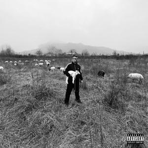 Bozkesh (Explicit)