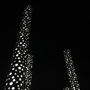 Starry Eyes