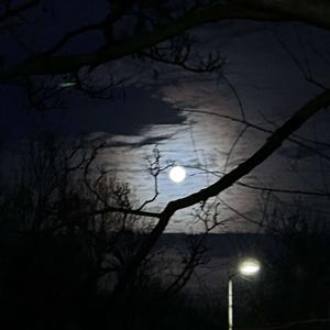 LIGHT EM' UP (Explicit)