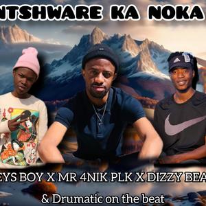 Ntshware Ka Noka (Hala Hitt) (feat. Mr 4nik Plk, Dizzy Bear & Drumatic On the Beat)