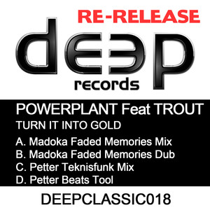 Turn It Into Gold (Petter Teknisfunk Mix)