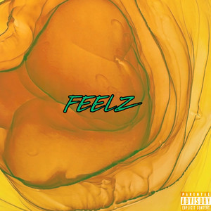 Feelz (Explicit)