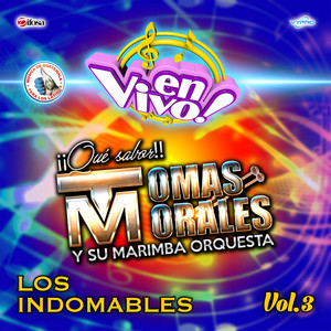Mix Indomable Amor a la Ligera: Buscando Novia / Morena de Quince Años / Amor a la Ligera (En Vivo)