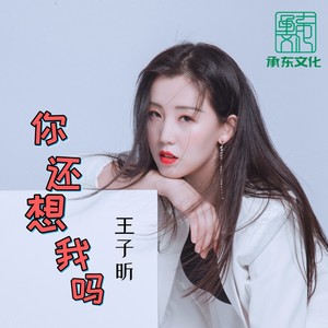 你还想我吗 (伴奏)