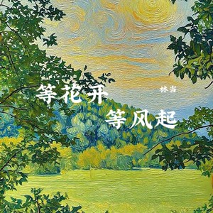 等花开等风起