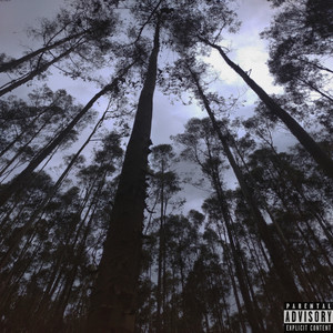 Unknown N N N (Remix|Explicit)