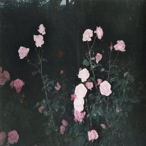 eternal damnation (feat. YUNG FARGO) (Explicit)