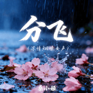分飞 (深情烟嗓女声)