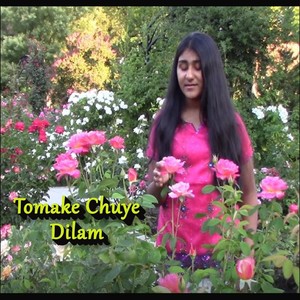 Tomake Chuye Dilam