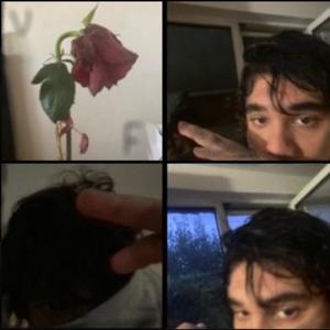 fato hai sa ne taiem