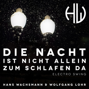 Die Nacht Ist Nicht Allein Zum Schlafen da (Electro Swing)