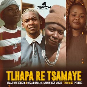 Tlhapa Re Tsamaye (feat. Beast Dakoolkid, Obza D'Musiq, Calvin AKA'Musiq & Ipeleng)