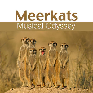 Meerkats Musical Odyssey