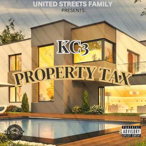 Bigger Picture (feat. 32 Icee) (Explicit)
