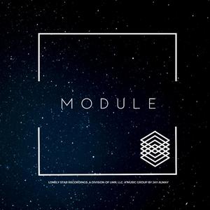 Module