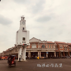 蝶儿总在空中飞