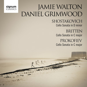 Cello Sonata in D minor, Op.40: i. Allegro non troppo
