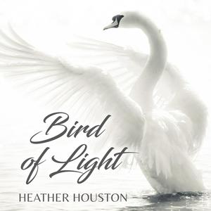 Bird of Light