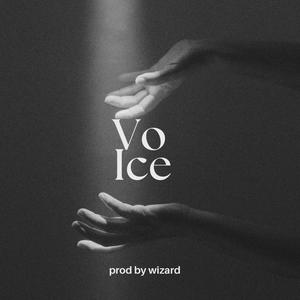 Voice