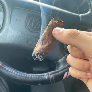 Party hoe (feat. PSR Dee) (Explicit)